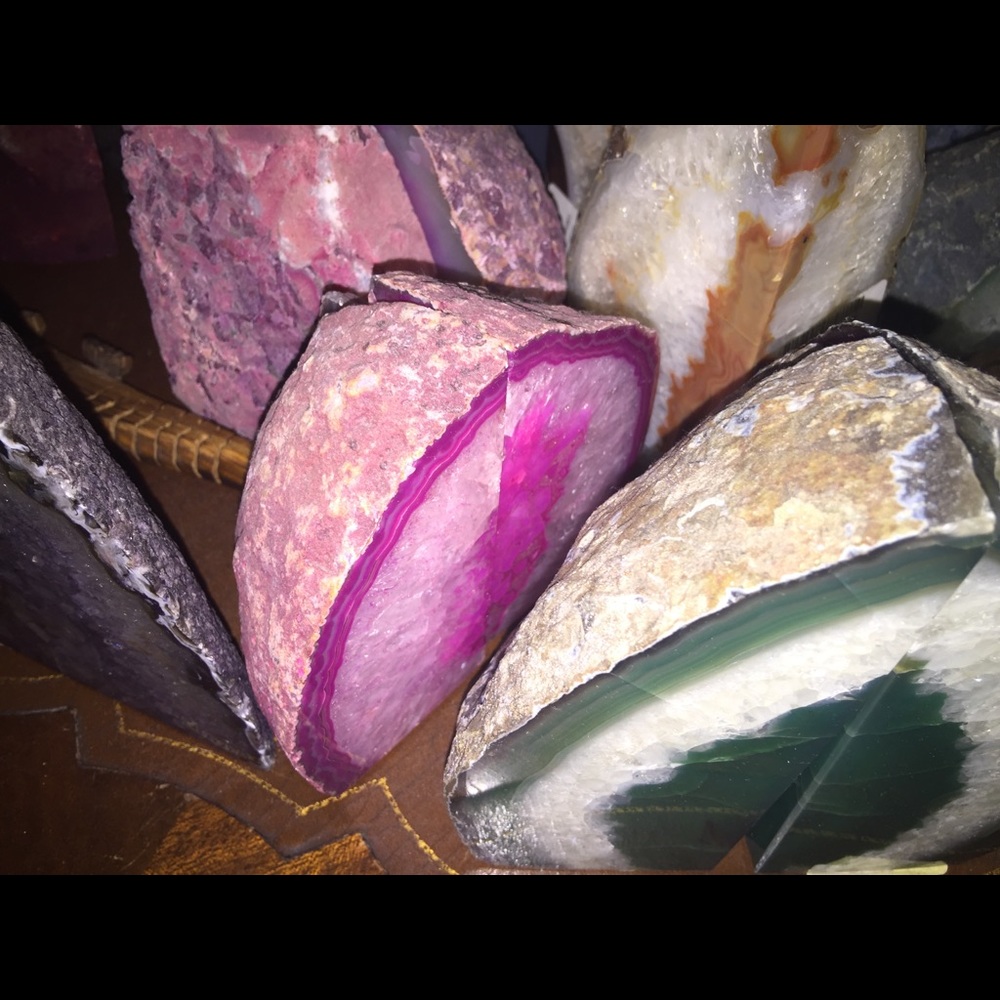 Petrified Wood Bookends